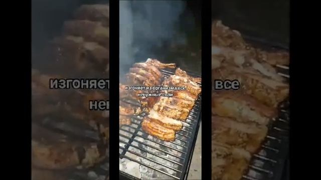 VID-20250329-WA1472