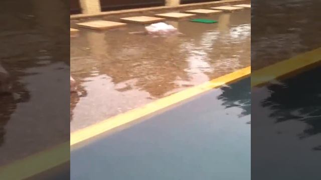 Водоём в Касимово