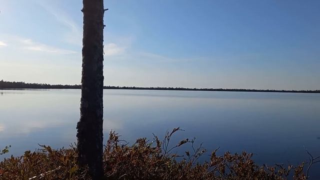 первый заморозок был ночью вода замерзала на столе ,и утки появились гагары.