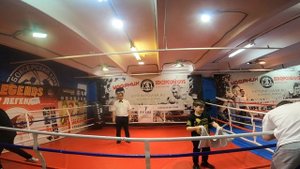 Ринг№2, Бой№27 Вергун Даниил - Бабашаихов Лев результаты, Бой№28 Матеков Фарух - Дмитриев Демид