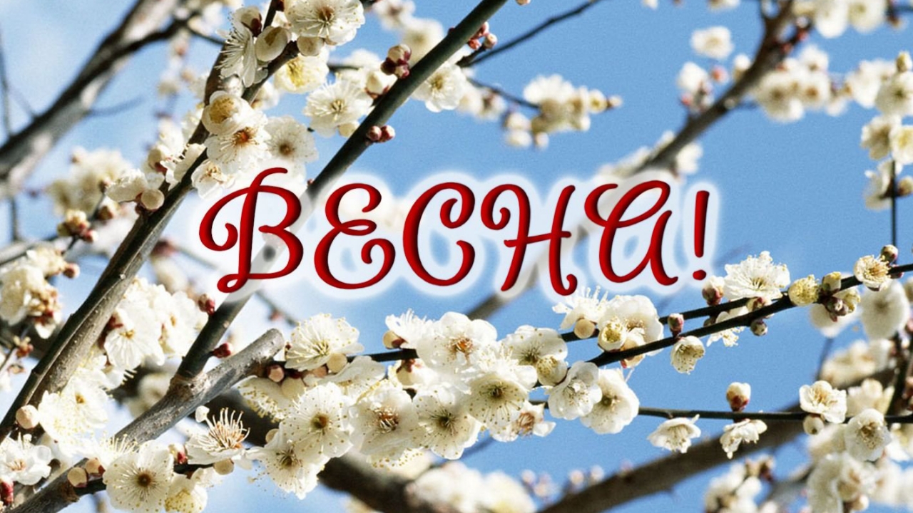 Весна пришла 🌱