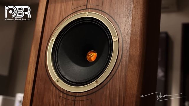 Hi End Sound Test Speaker - Hi-Res Music - Natural Beat Records смотреть онлайн