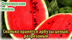 Сколько хранятся арбузы целый, разрезаный