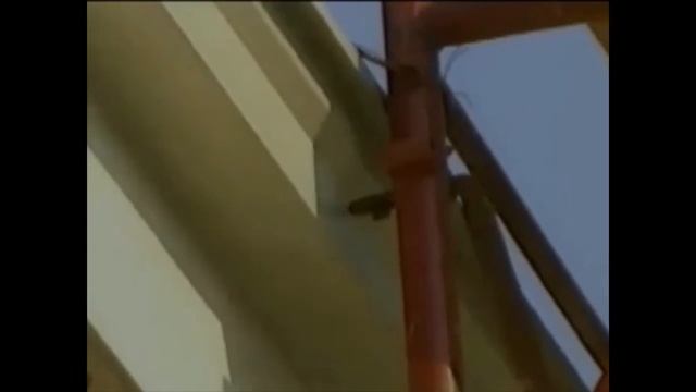 ISOTEX seizmološki test смотреть онлайн