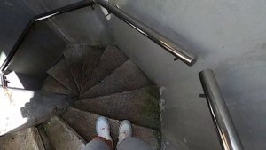 Гомель /Зимний сад /Смотровая башня /Экскурсия по дворцу