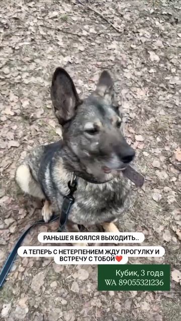Кубик❤