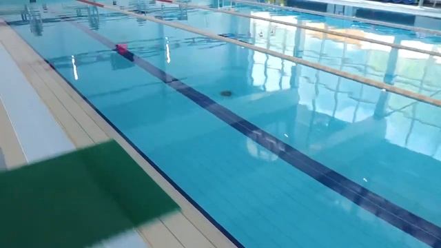 Всероссийская академия внешней торговли ВАВТ