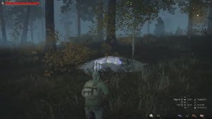 Паучьи коконы