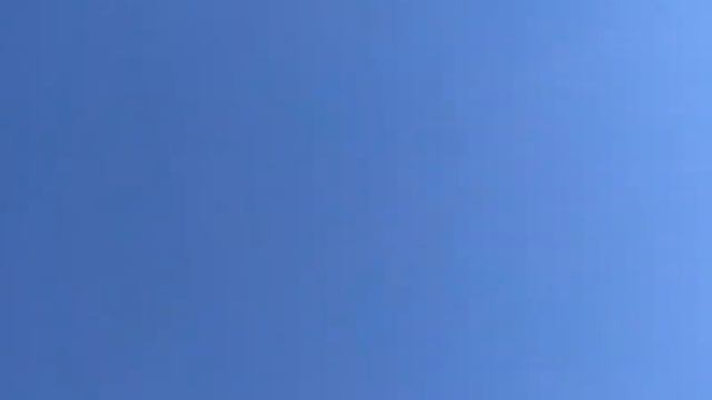 Одесские высоколётные турманы Юрия Мехова смотреть онлайн