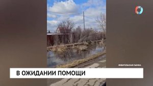 В ожидании помощи