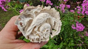 Ворон на черепе