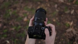 Tamron 28-300mm f4-7.1 Di III VC VXD Hands-On Review (Sony E Mount)