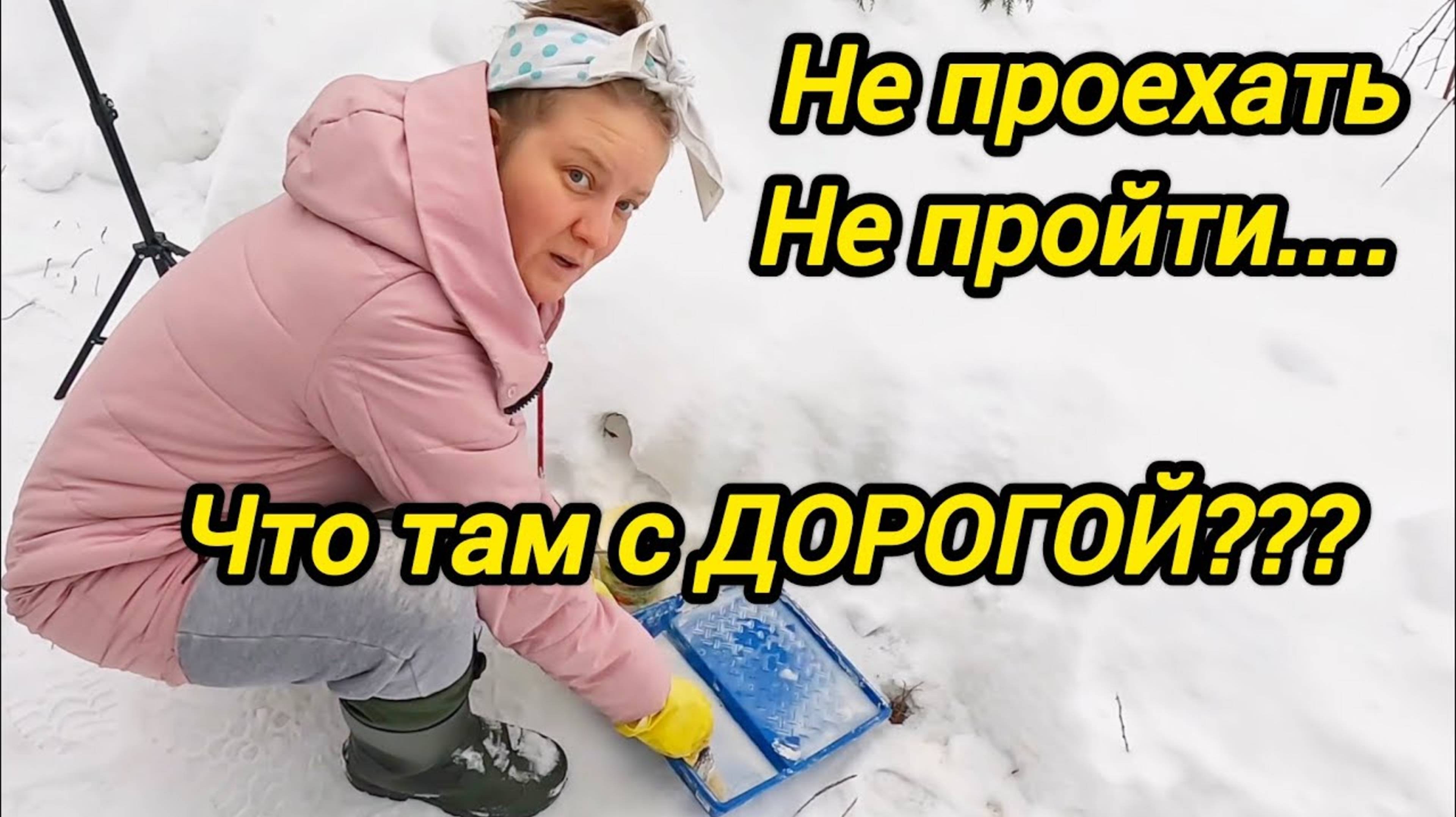 ЧТО ТАМ С ДОРОГОЙ | Не пройти не проехать | Дом в деревне | Семья в селе