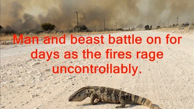 fireontheghaap 1 wmv exe смотреть онлайн