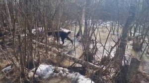 "Девочки" Дюрбахлер Клаб, передают все привет и хорошее настроение!