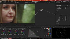 Film Look Creator in der Praxis | Davinci Resolve 19 Tutorial