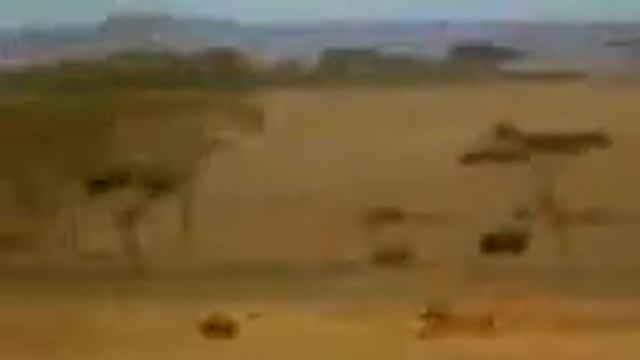 mac cheetah смотреть онлайн