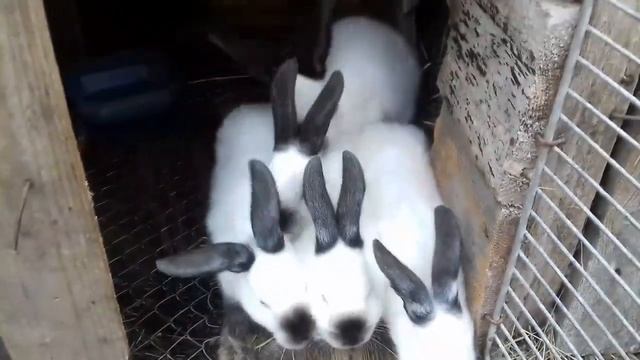 Собрали заказ на нашу продукцию.