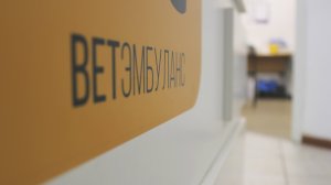 Ветеринарная клиника ВЕТЭМБУЛАНС, Москва, улица Улофа Пальме д.1