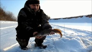 Жерлицы.Половили щучки.