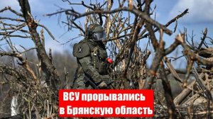 Новости. 02.04.25. СМИ, МО. ВСУ прорывались в Брянскую область