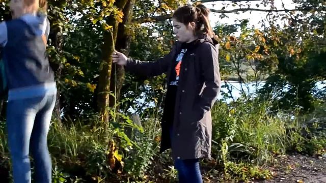 Цвет смотреть онлайн