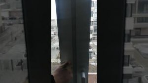 Обзор квартиры Екатеринбург