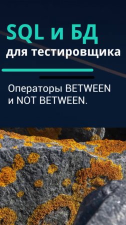 SQL и базы данных для тестировщика. Операторы BETWEEN и NOT BETWEEN в SQL.