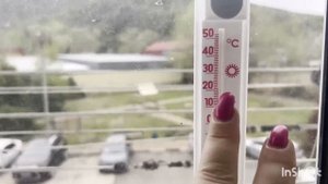 Влог с юга🌴У МЕНЯ РАСТУТ ТОЛЬКО ТАКИЕ ЦВЕТЫ/ ПОКУПКИ В ДОМ #аринаморесочи #лазаревское