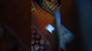 наш маленький инкубатор