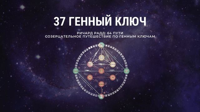 37 Генный ключ. Ричард Радд. 64 пути