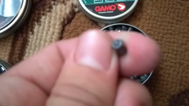 Я приехал скоро будет охота 😁😁 смотреть онлайн