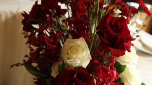 Флористика ЦДЛ-3