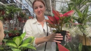 ЧТО МЫ УКРАЛИ / НОВЫЙ ПИТОМЕЦ 😍 МОЙ ДЕНЬ / УБОРКА в КВАРТИРЕ / Будни мамы.