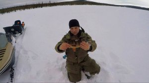 УЕХАЛИ В ТАЙГУ! КРУПНЫЙ ОКУНЬ! КУМЖА ЛОМАЕТ КРЮЧКИ!