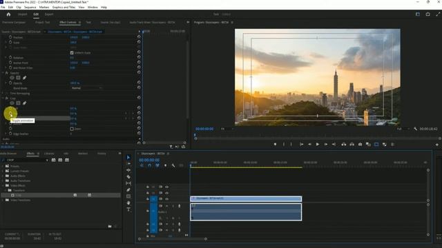 How To Crop Video In Premiere Pro (FAST!) смотреть онлайн