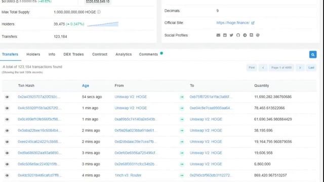 Криптовалюта c непрерывным ростом курса - такое возможно? Обзор HOGE смотреть онлайн