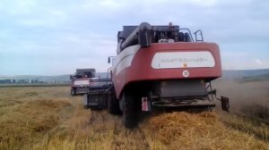 Акрос 530  8.5 т с ГК пшеницы