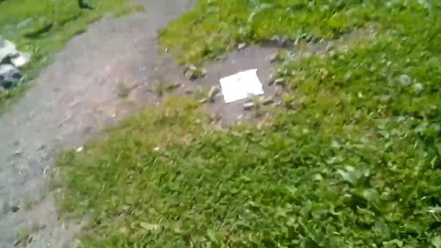 Девченки кидаються камнями смотреть онлайн