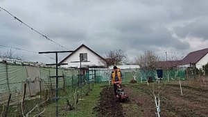 Посадили картошку. Земля-пух! Туи переехали.