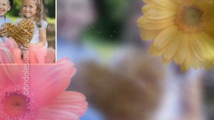 Free Project Flowers for ProShow Producer -Проект для ПроШоу Продюсер ЦВЕТЫ