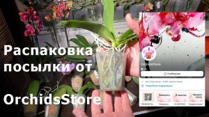 Распаковка посылки от OrchidsStore