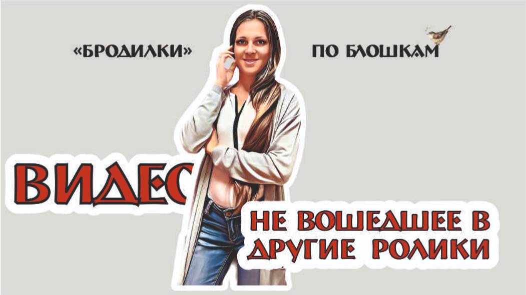 наши БРОДИЛКИ по разным блошиным РЫНКАМ - не вошедшее видео