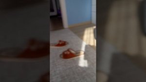 Шехуралька (1965)