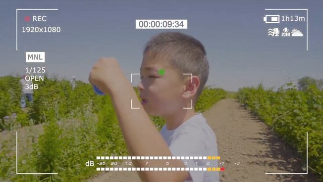 сбор малины| Алматы