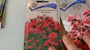 Обзор семян цветов 2024. Украшаем сад