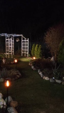 Вечер в саду #цветы #дача #garden #сад