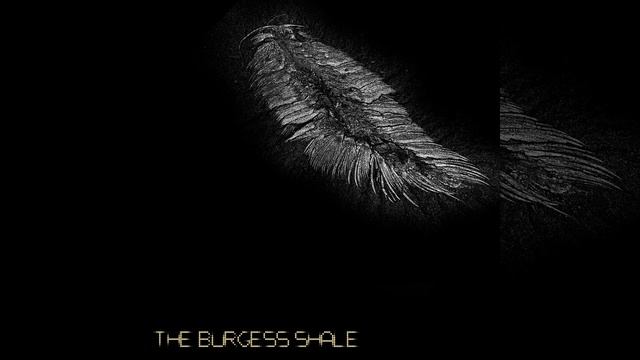 Kendra смотреть онлайн