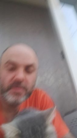 Я и Котя смотрим на птичек))🫂