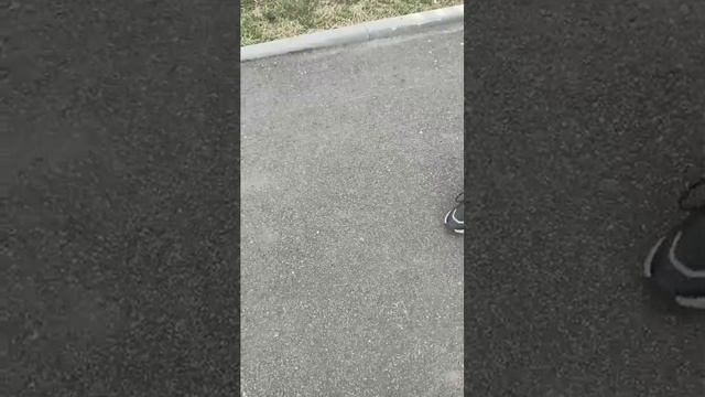 шок
